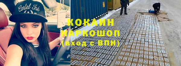 бошки Гусев