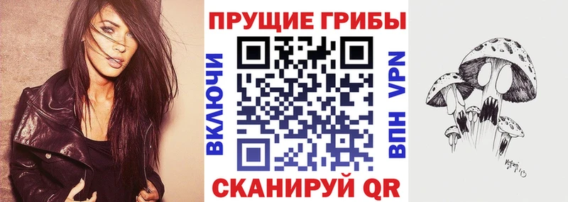 Галлюциногенные грибы Psilocybine cubensis Саранск